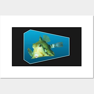 Boxfish | Floating Fish on a blue background | Posters and Art